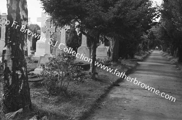 GRAVE OF W.F.B.